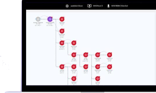 Singularity XDR Process Graph